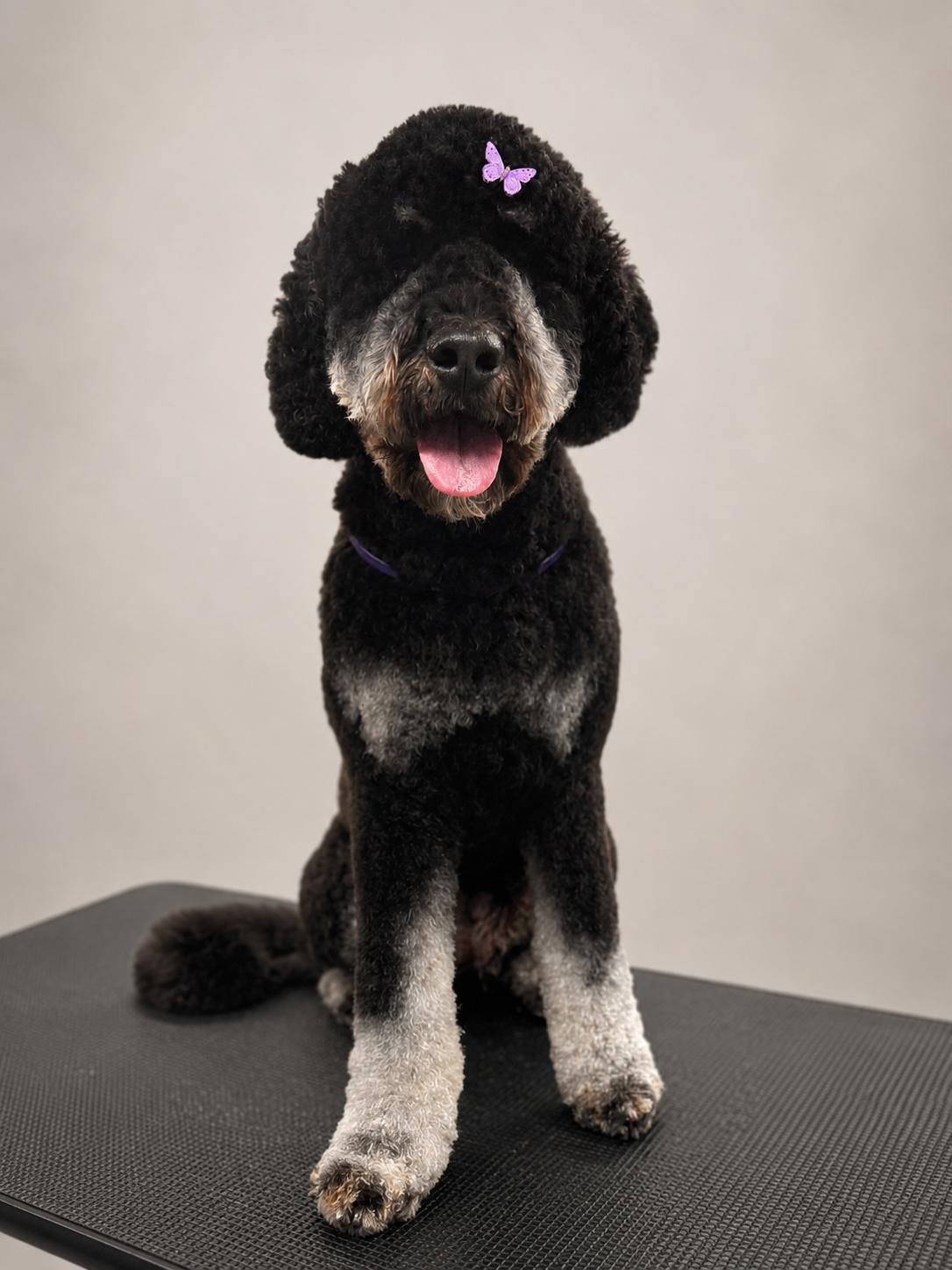 Grooming result